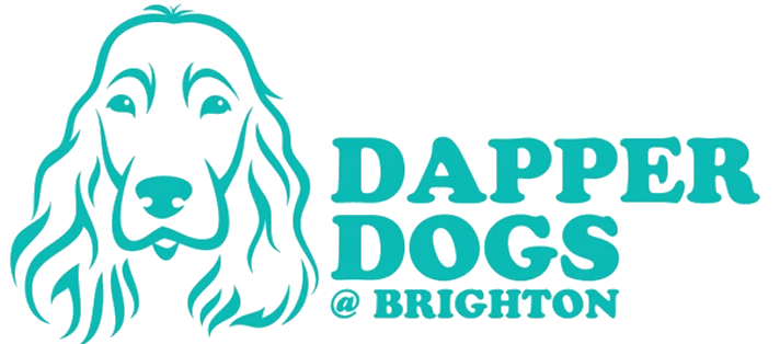 Dapper Dogs Dog Grooming Brighton