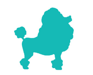 Dog Grooming Full Service Grooming