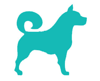 Dog Grooming Full Service Grooming
