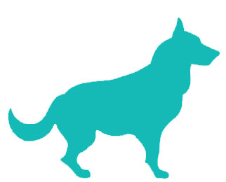 Dog Grooming Full Service Grooming