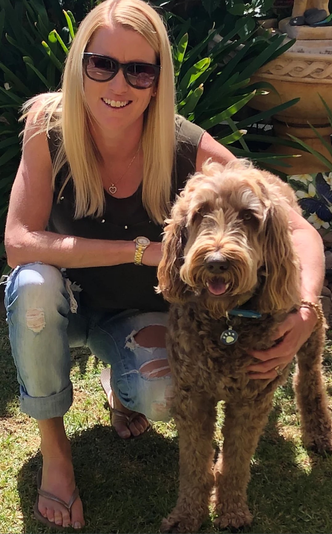 Dog Groomer Brighton